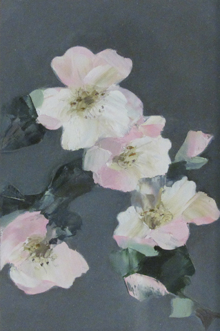 Dog Roses II