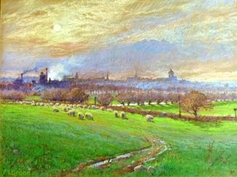 Cymbeline Meadows, Colchester