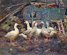 Geese in Barnyard