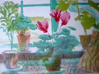 Cyclamen in the Window