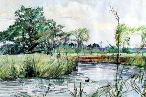 The Stour at Boxted