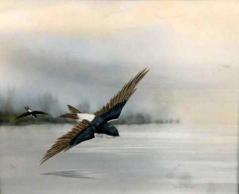 Swallows in Flight