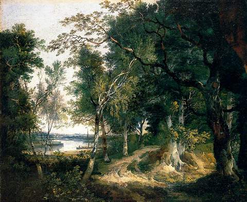 Wooded Landscape