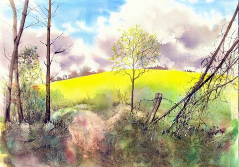 The Rapefield