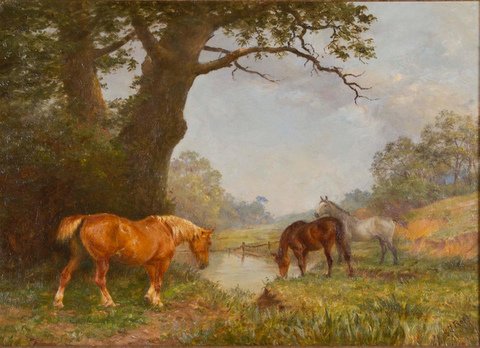 Horses Grazing in Woodland Clearing beside a Stream