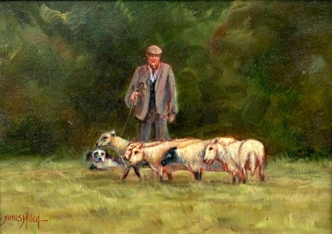 Shepherd  with his Sheep