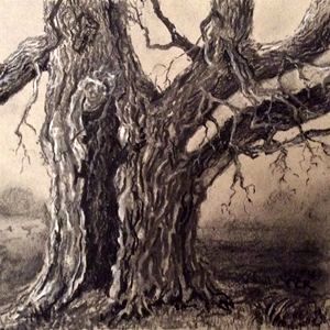 Ancient oak at Rendham, Suffolk