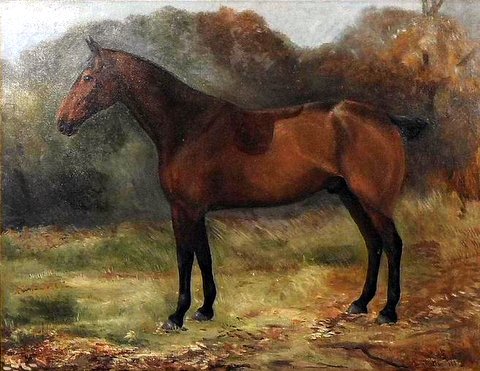 Horse in a Landscape