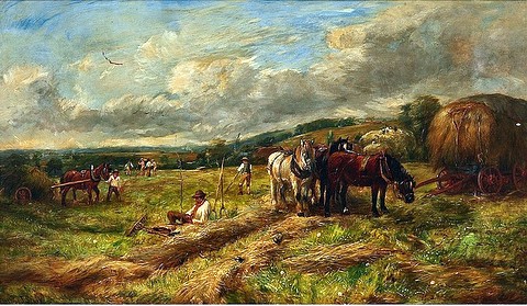 Harvest Scene