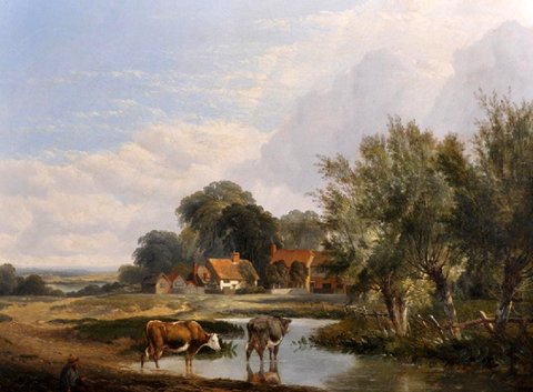 Landscape and Cattle