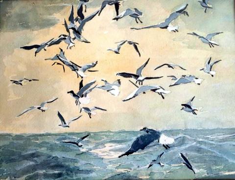 Gulls in Flight