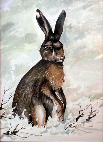 Hare in the Snow