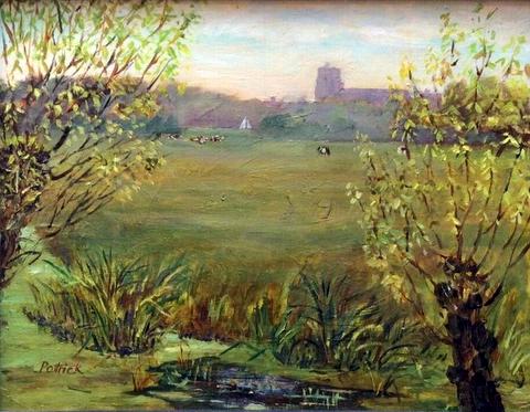 Water Meadows looking towards Beccles, Suffolk