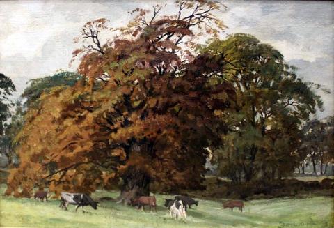 Cattle Grazing Beneath a Tree