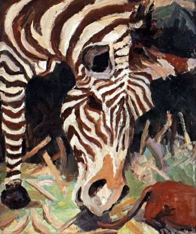 Zebra