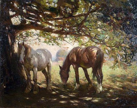 Two Horses in the Shade