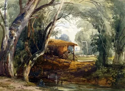 Wooded River Scene