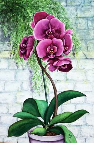 Purple Orchids & White Bricks