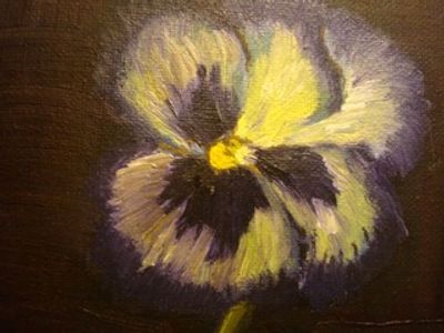 Pansy