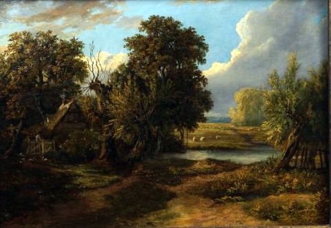 Rural Landscape