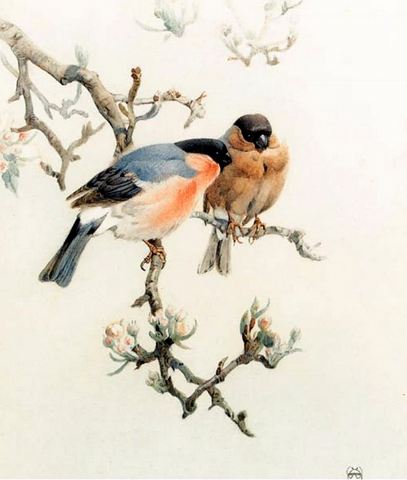 A Word in your Ear: A Pair of Bullfinches on a Branch