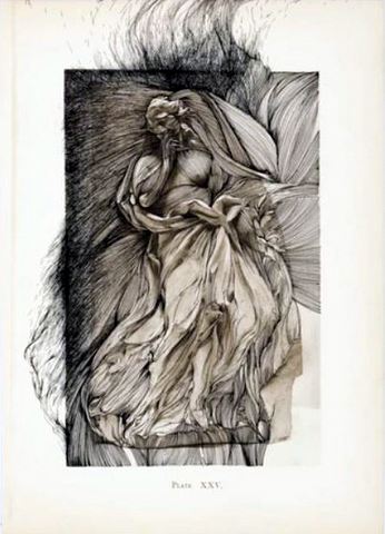 Bernini and Other Studies