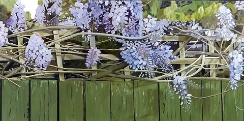 Wisteria on Fence 2