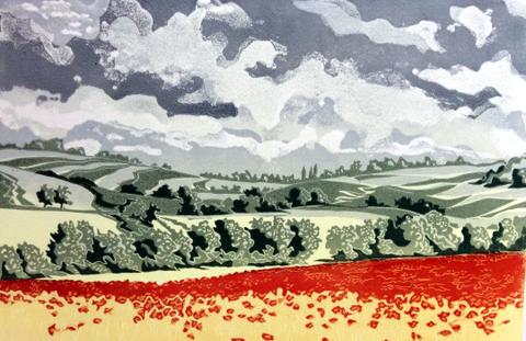 Poppy Fields