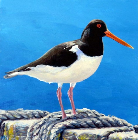 Oyster Catcher, Southwold