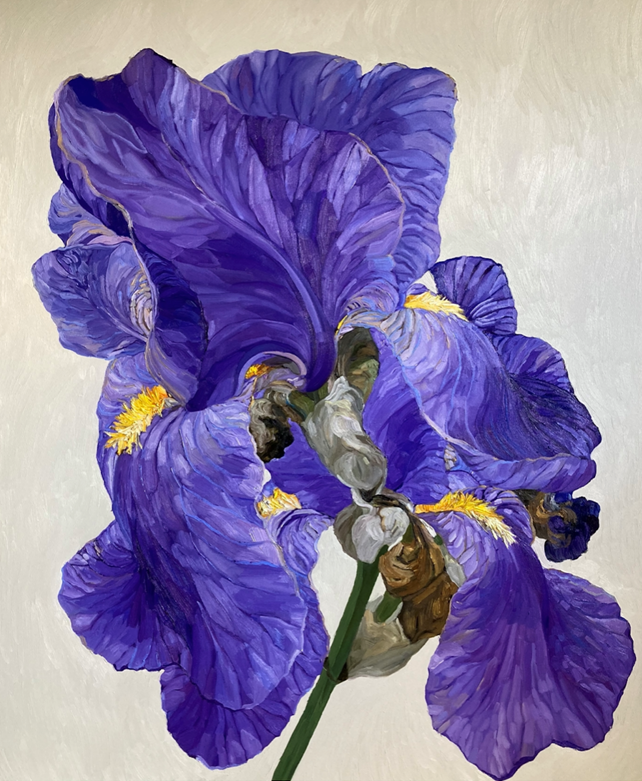 Benton Blue John Iris