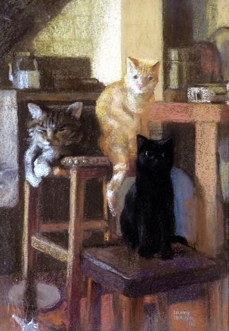 Cats in the Kitchen