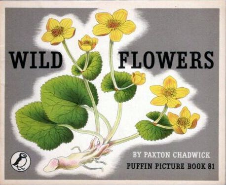 Wild Flowers