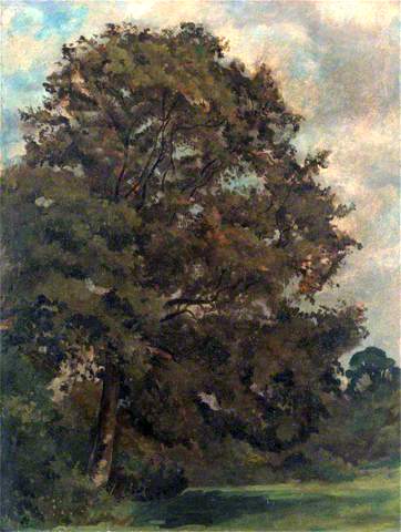An Ash Tree