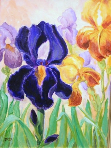 Garden Irises