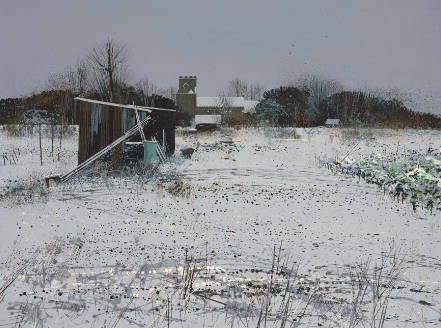 Winter Allotment