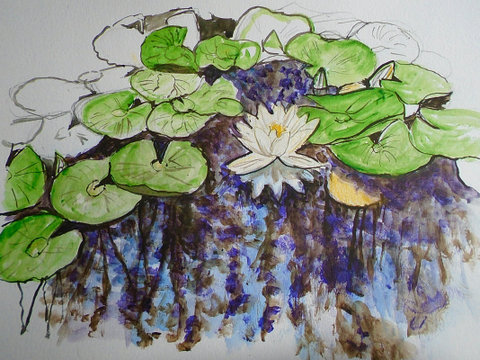 Water Lilies