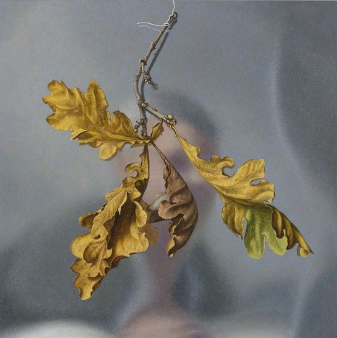 Oak Leaves