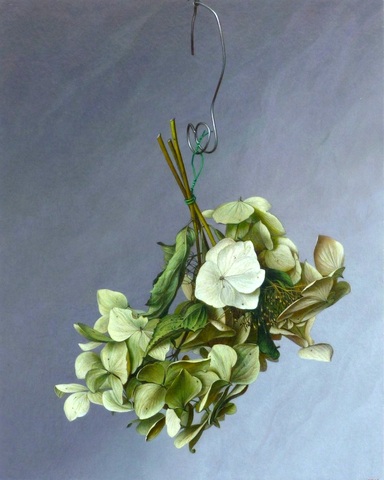Hydrangea