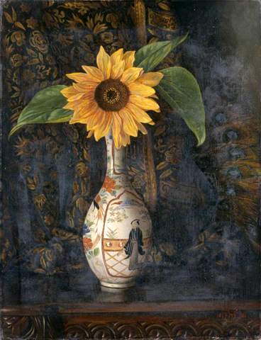 A Sunflower