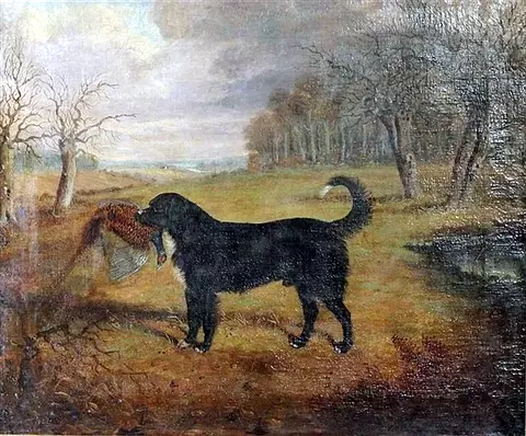 Dog with a Pheasant