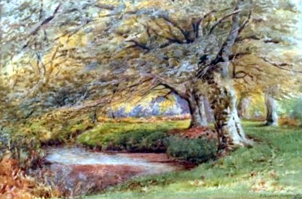 Woodland, Riverside Landscape