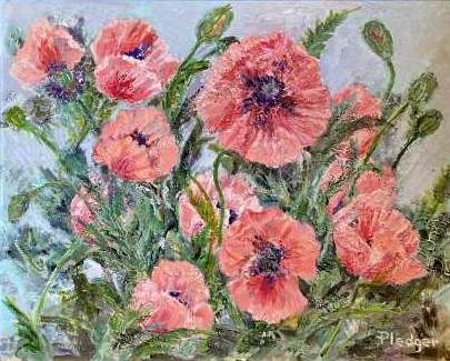 Pink Poppies