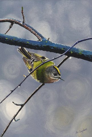 Goldcrest