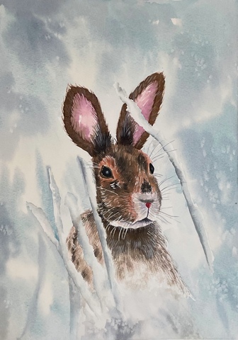 Little Brown Hare in the Snow