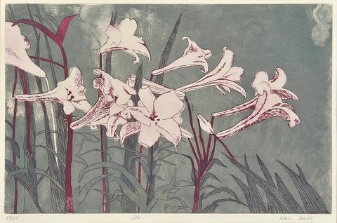 Lilies