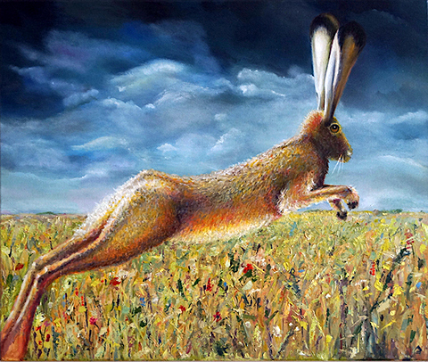 Meadow Hare on Poets Run