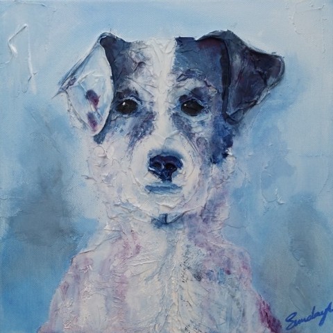 Blue Jack Russell