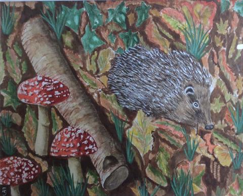 Hedgehog