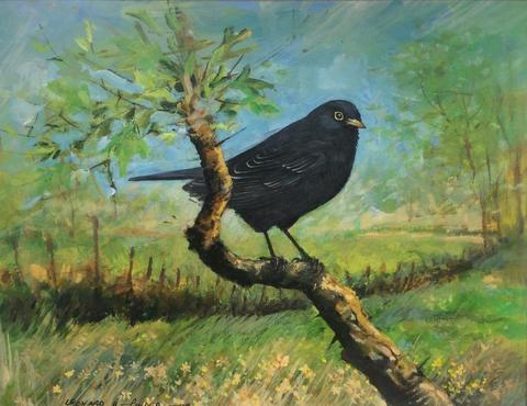 Blackbird