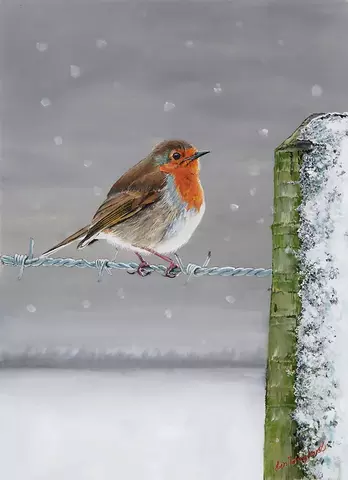 Robin on a Wire